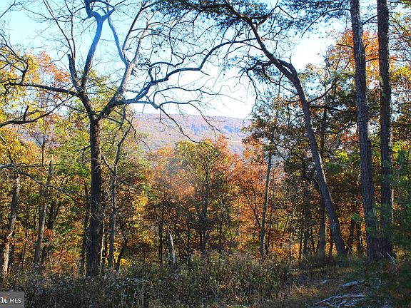 5th image of Mount Lake Retreat Dr