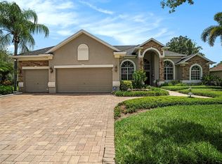 3916 9th Dr, Valrico, FL 33596
