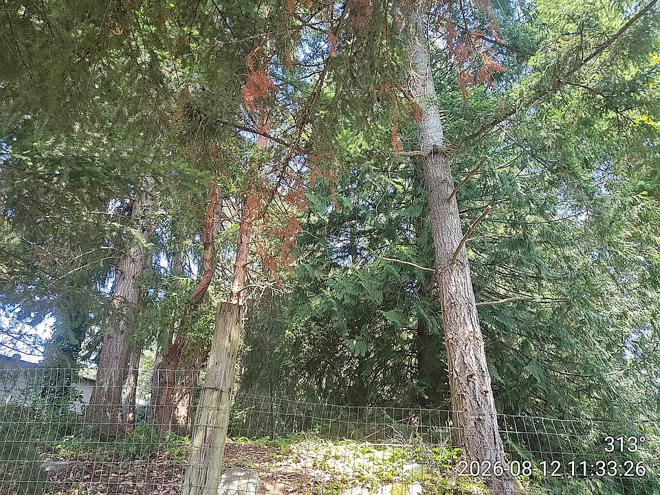 1st image of 7917 240th St SW