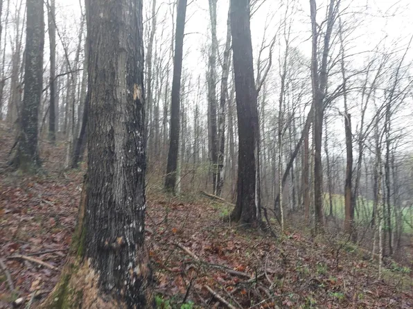 0 Leighton Rd, Irvine, KY 40336