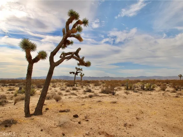0 Cielito Dr #53, Joshua Tree, CA 92252