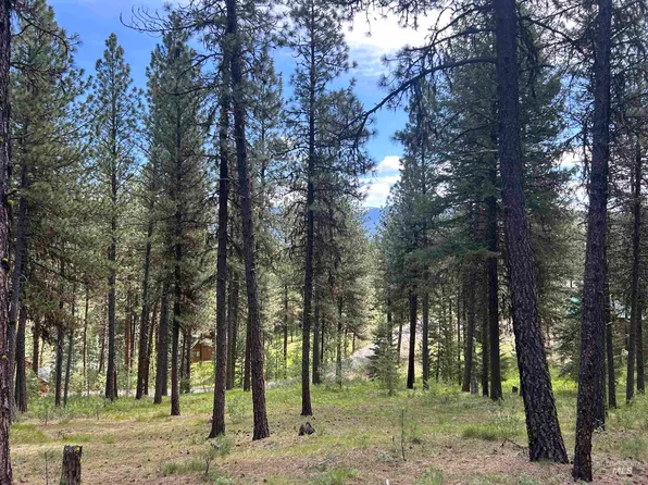 Syringa Dr, New Meadows, ID 83654