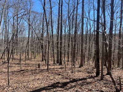 LOT 40 Pioneer Trail Ln, Crawford, TN, 38554