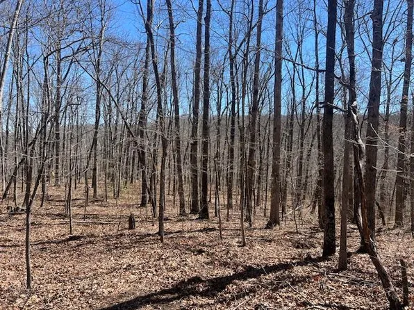 LOT 40 Pioneer Trail Ln, Crawford, TN 38554