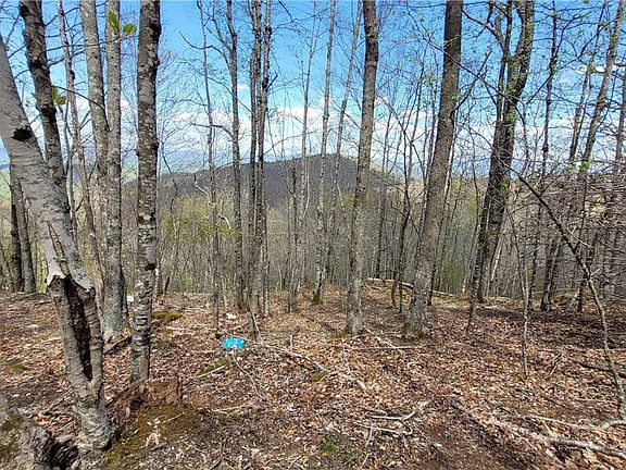 3rd image of 123/126 W Blueberry Lane