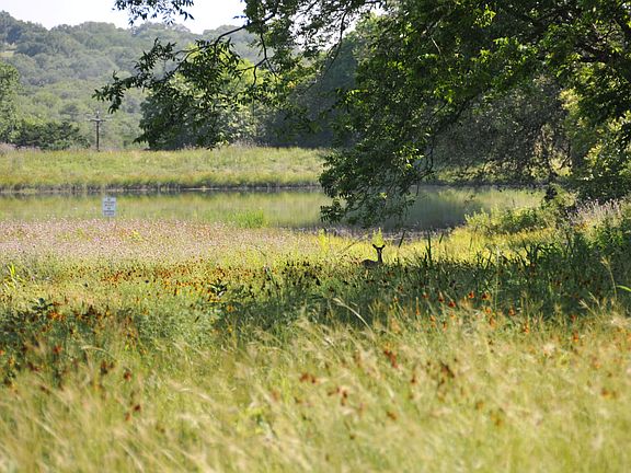 Lovely Hill Country Setting