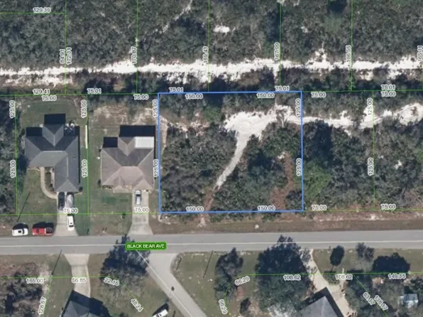 1525 Elm Ave, Lake Placid, FL 33852
