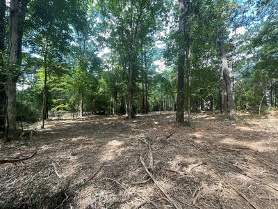 0 Allison Dr, McComb, MS, 39648