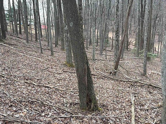 4th image of Mount Hebron Rd