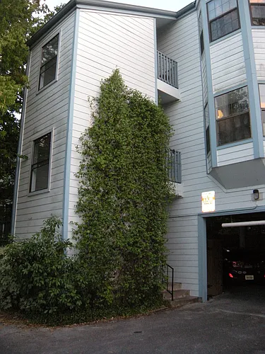 303 W 35th St Photo 1