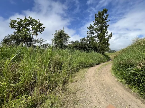 State Highway 152r Km .2 Int Bo Helechal Parcela #1, Barranquitas, PR 00794