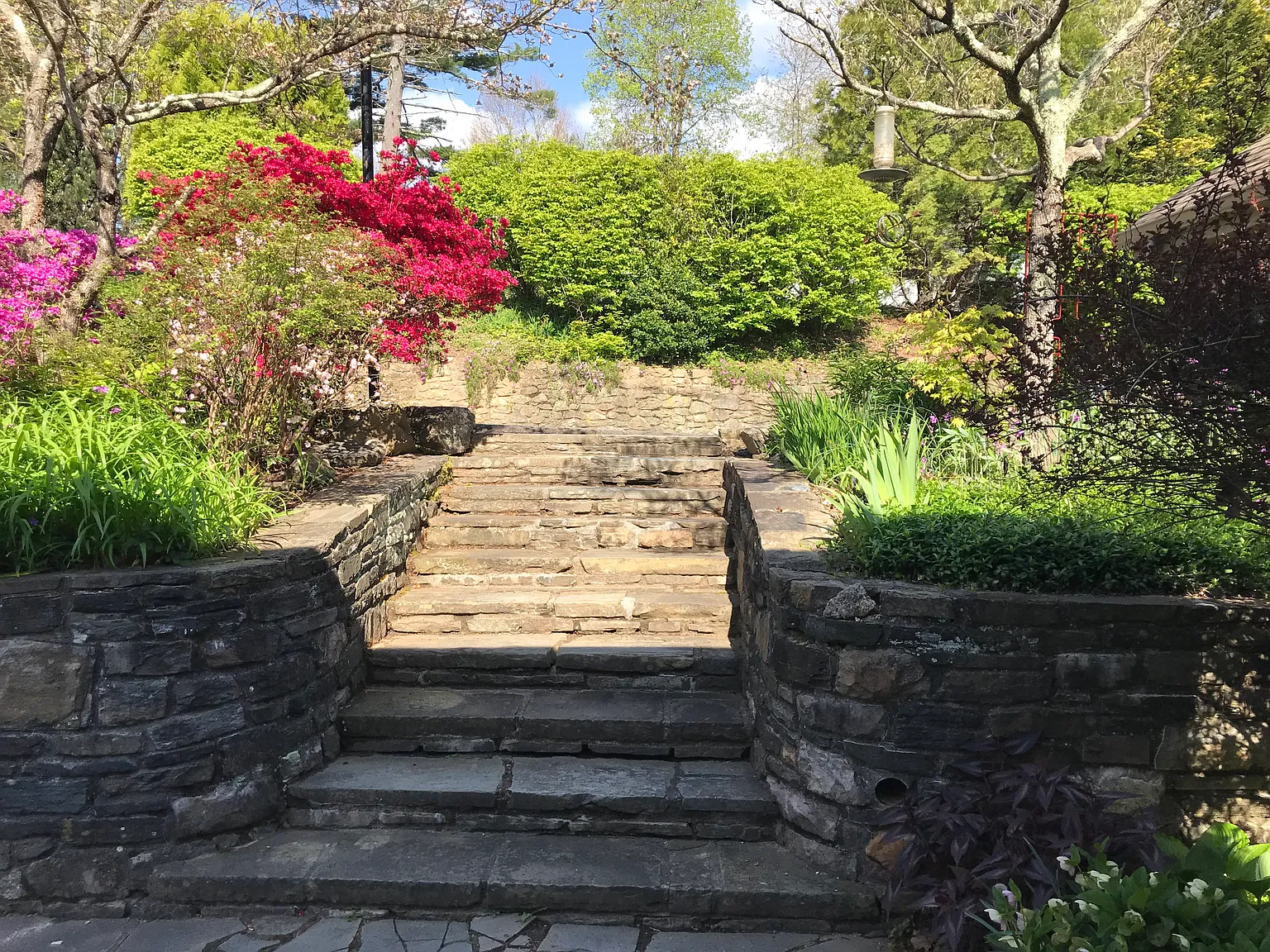 126 Iris Ln — Photo 4