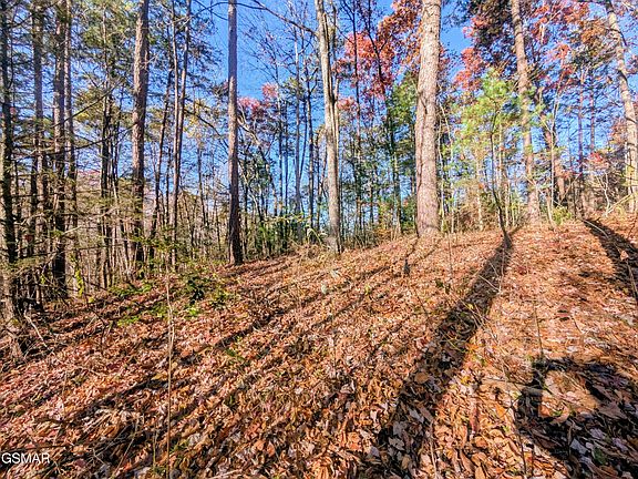 5th image of 483 School House Gap Rd House Gap