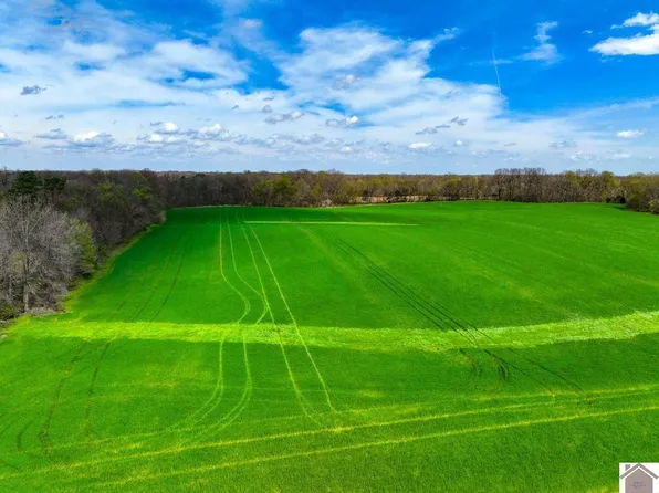 0 Carlton Rd, Murray, KY 42071