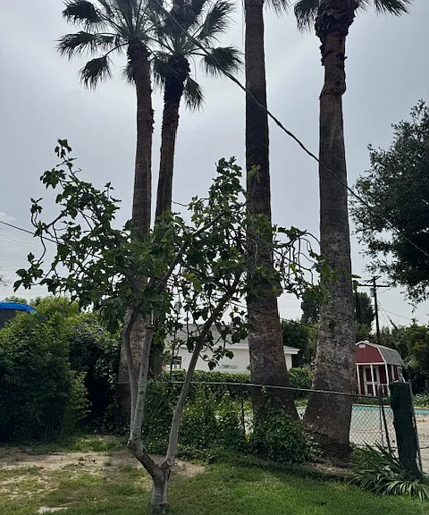 5729 Bertrand Ave — Photo 9