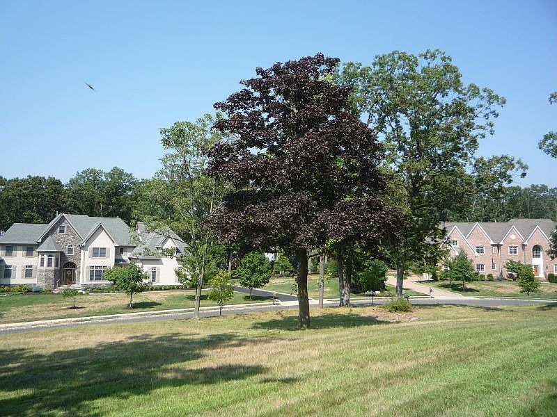 2nd image of 3 Kappelmann Dr