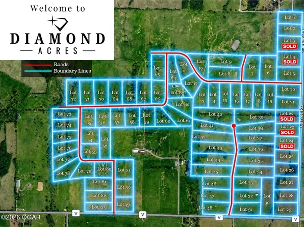 6 Carver Rd, Diamond, MO 64840