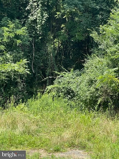 1st image of 12161 Sperryville Pike