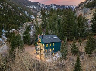 205 Loop Dr, Georgetown, CO 80444