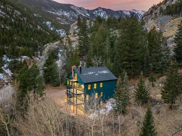 205 Loop Drive, Georgetown, CO 80444