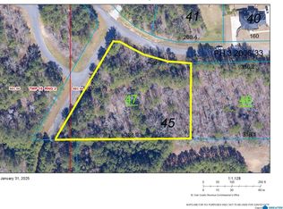 969 Blue Ridge Way LOT 45, Odenville, AL 35120