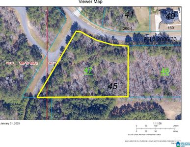 969 Blue Ridge Way Lot 45, Odenville, AL, 35120