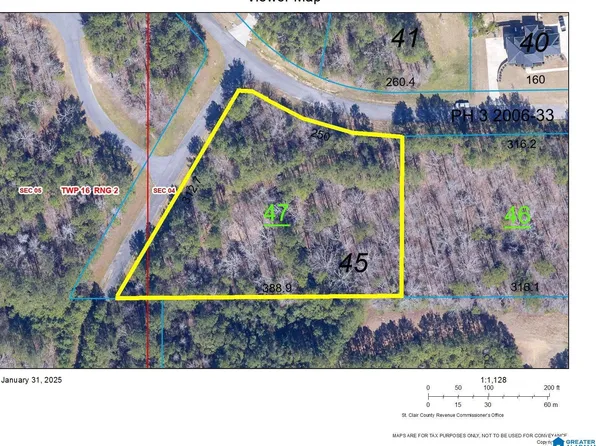 969 Blue Ridge Way Lot 45, Odenville, AL 35120