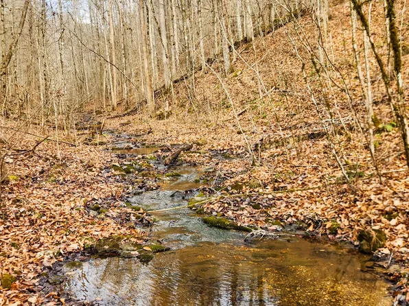 0 Powell Ridge Rd Tract 1, Speedwell, TN 37870