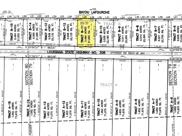 3825 Highway 308, Napoleonville, LA 70390