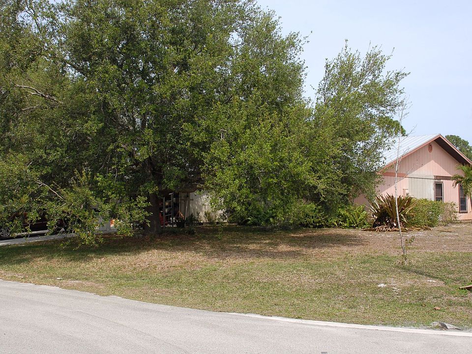  large oaks  on property