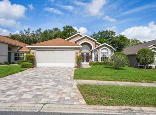 351 Quane Ave, Spring Hill, FL 34609