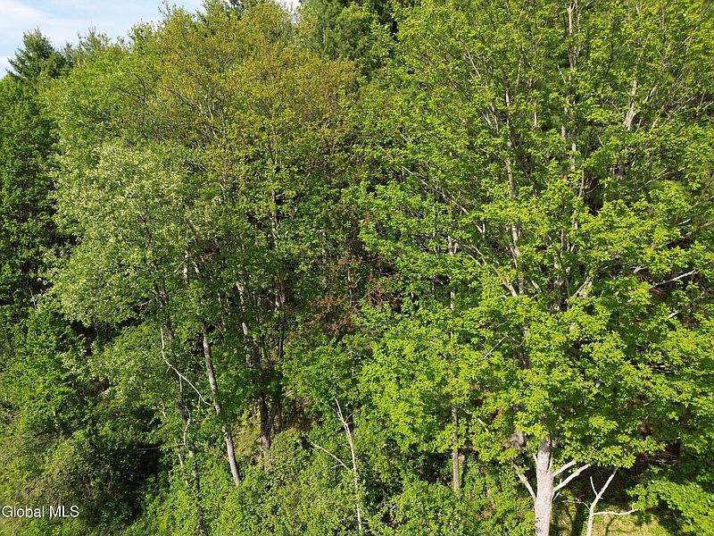 2nd image of 264 Conley Road