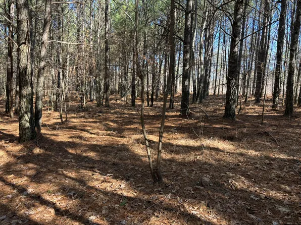 6 Fredonia Rd, Dunlap, TN 37327