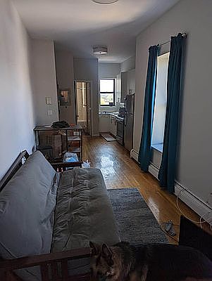 3rd image of 147 Bruckner Blvd #5A