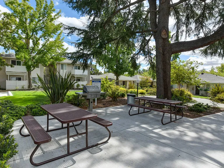 BBQ and Picnic Area