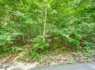 119 Winters Hollow Private Dr, Roan Mountain, TN 37687