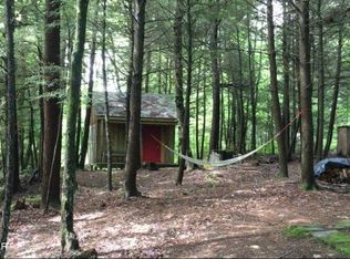 570 Blatchley Rd, Windsor, NY 13865