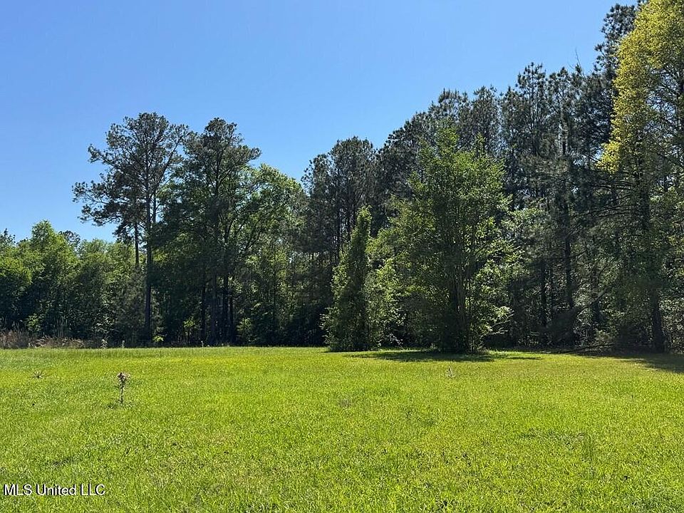 2nd image of Bogue Chitto Rd