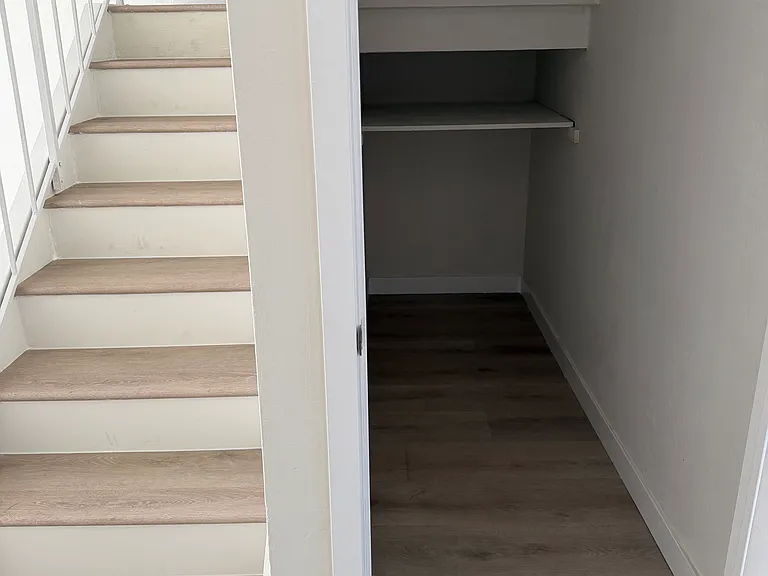Downstairs closet/pantry