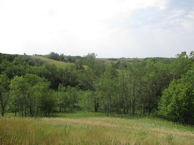 1st image of 1804 Off Of Hwy