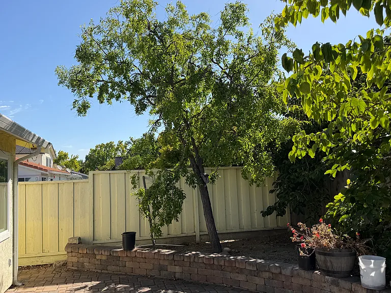 33765 Shallow Ct — Photo 17