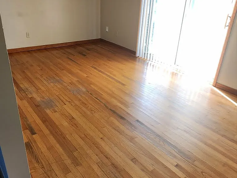 901 Holoway Dr — Photo 4
