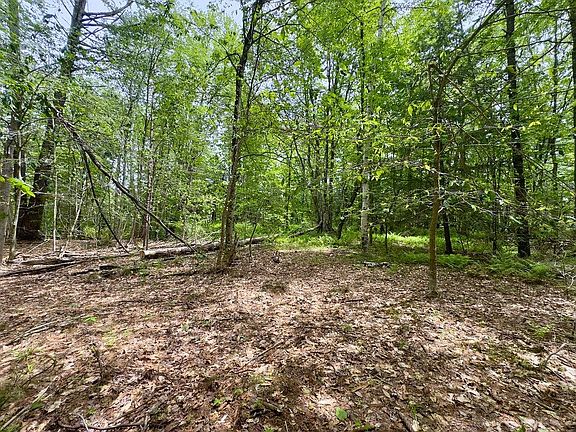 5th image of 77-79 Province Road Map 2 Lot 8 aka 77-79