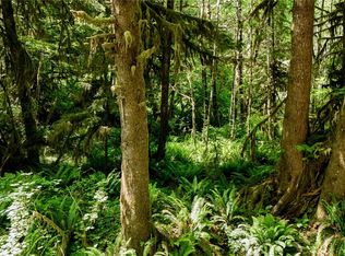 99994 Dowans Creek Road, Forks, WA 98331