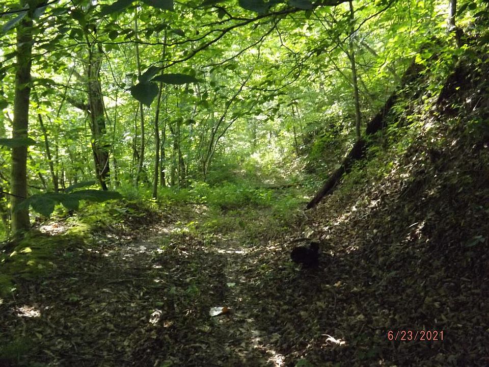 1st image of Roaring Fork Rd