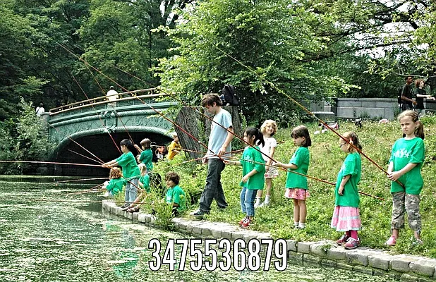 Rented by Edward Gugenheim, LREB | media 36