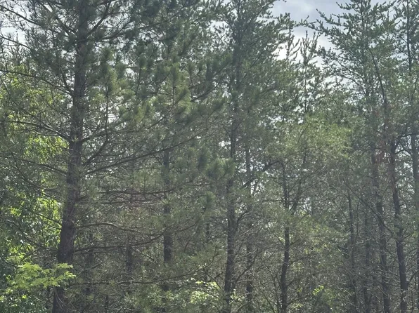 Near Cth Y S Lot 2, Tomahawk, WI 54487