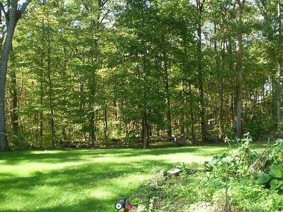 Edge of raised veg. garden & view of back yard from back patio