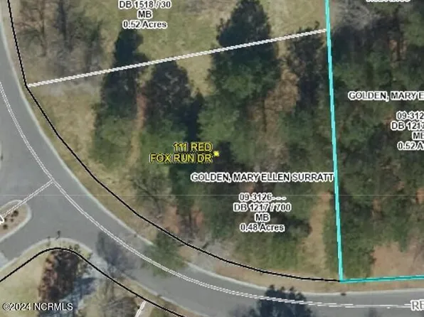111 Red Fox Run Drive, Wallace, NC 28466