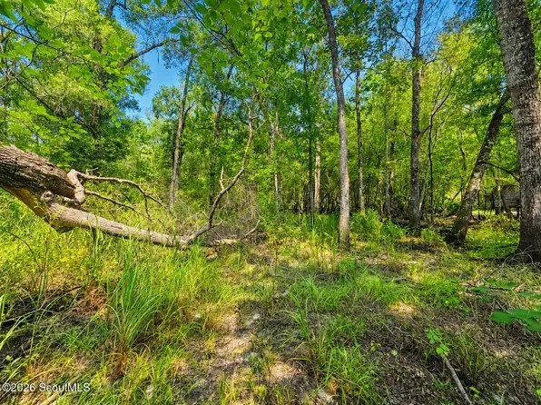 0 Herrin Lake Rd, Nahunta, GA 31553